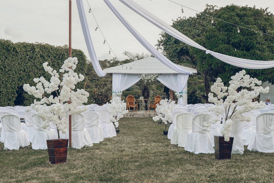 Le jardin
